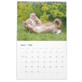 Cute and Funny Kittens Cat Photo Kalender (Mar 2026)
