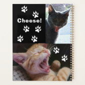Cute and Funny Laughing Cats Planner (Achterkant)