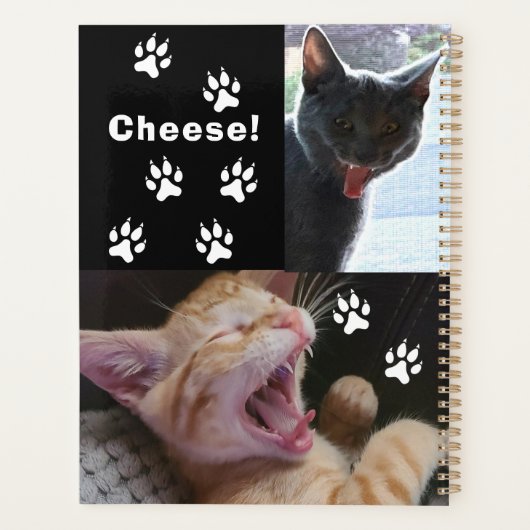 Cute and Funny Laughing Cats Planner (Achterkant)
