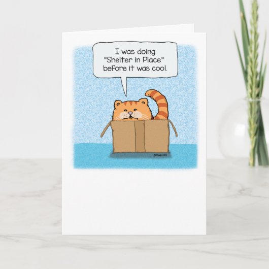 Cute and Funny Shelter in Place Cat Kaart (Voorkant)