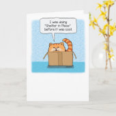 Cute and Funny Shelter in Place Cat Kaart (Gele Bloem)