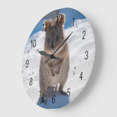 Cute and happy Quokka op het strand in Australië Grote Klok (Hoek)