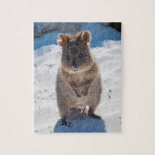 Cute and happy Quokka op het strand in Australië Legpuzzel