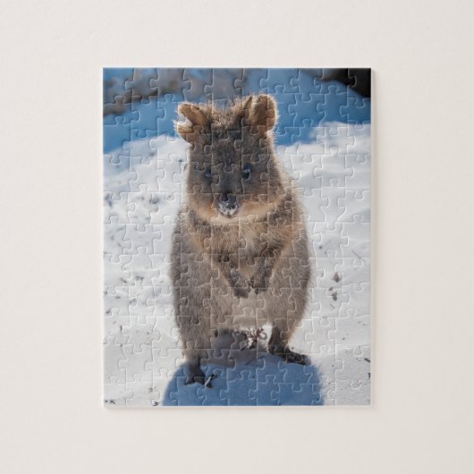 Cute and happy Quokka op het strand in Australië Legpuzzel (Verticaal)