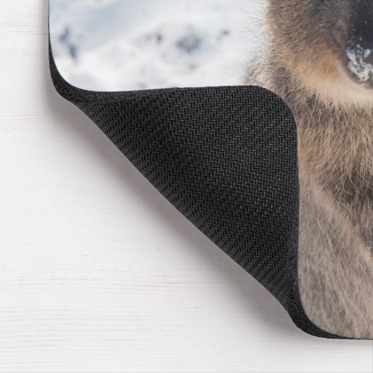 Cute and happy Quokka op het strand in Australië Muismat (Hoek)