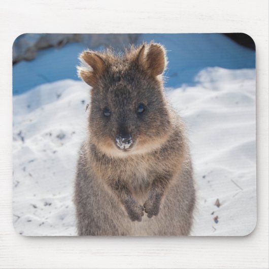 Cute and happy Quokka op het strand in Australië Muismat (Voorkant)