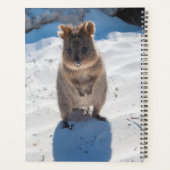 Cute and happy Quokka op het strand in Australië Planner (Achterkant)