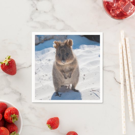 Cute and happy Quokka op het strand in Australië Servet (Insitu)