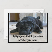 Cute and Lazy Black Pug Puppy Briefkaart (Voorkant / Achterkant)