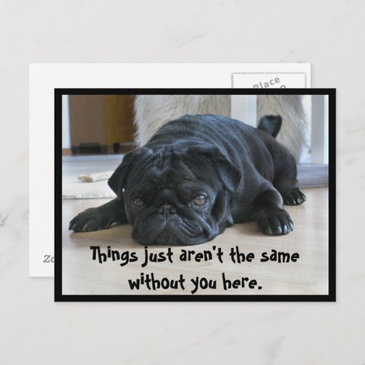 Cute and Lazy Black Pug Puppy Briefkaart (Voorkant / Achterkant)