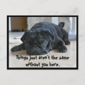 Cute and Lazy Black Pug Puppy Briefkaart (Voorkant)