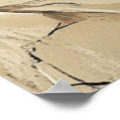 Cute and Playful Kitten Poster (Hoek)