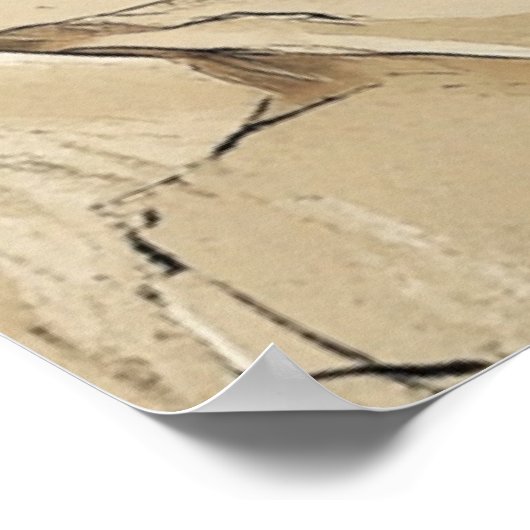 Cute and Playful Kitten Poster (Hoek)