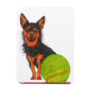 Cute and Schattig Chorkie Dog Magnet 3"x4" Magneet