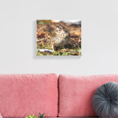 Cute and Spunky Lincoln's Sparrow Canvas Afdruk (Insitu (Woonkamer))