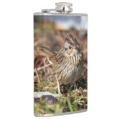 Cute and Spunky Lincoln's Sparrow Heupfles (Rechts)