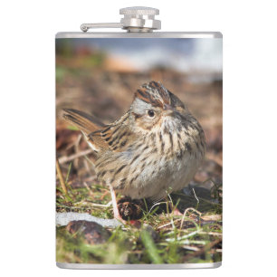 Cute and Spunky Lincoln's Sparrow Heupfles