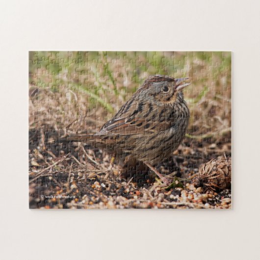 Cute and Spunky Lincoln's Sparrow Legpuzzel (Horizontaal)