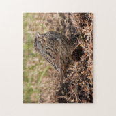 Cute and Spunky Lincoln's Sparrow Legpuzzel (Verticaal)