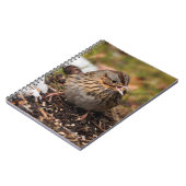 Cute and Spunky Lincoln's Sparrow Notitieboek (Linkerzijde)