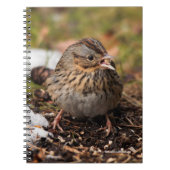 Cute and Spunky Lincoln's Sparrow Notitieboek (Voorkant)
