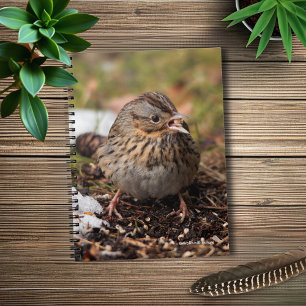 Cute and Spunky Lincoln's Sparrow Notitieboek