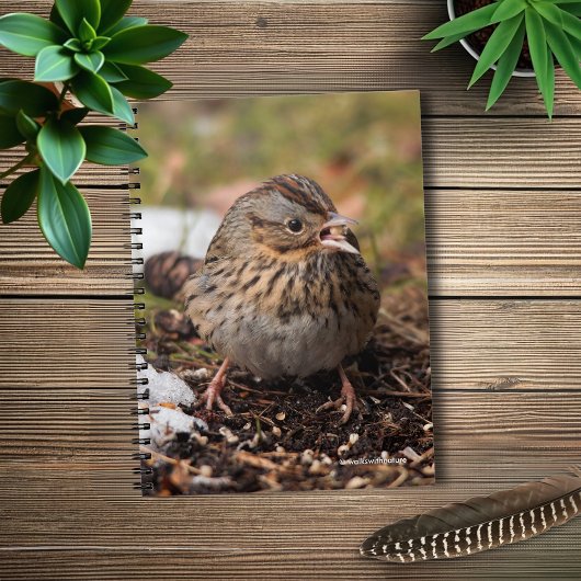 Cute and Spunky Lincoln's Sparrow Notitieboek