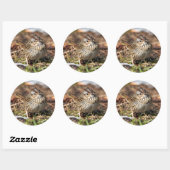 Cute and Spunky Lincoln's Sparrow Ronde Sticker (Vel)