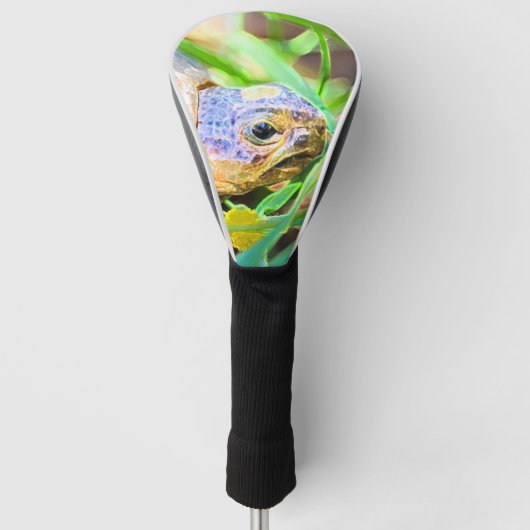 Cute Angulate Tortoise South Africa - Gegevens Golfheadcover (Voorkant)