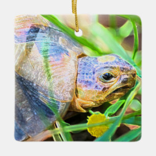 Cute Angulate Tortoise South Africa - Gegevens Keramisch Ornament