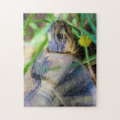 Cute Angulate Tortoise South Africa - Gegevens Legpuzzel (Verticaal)