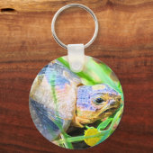 Cute Angulate Tortoise South Africa - Gegevens Sleutelhanger (Voorkant)