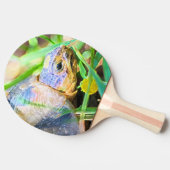 Cute Angulate Tortoise South Africa - Gegevens Tafeltennisbatje (Zijkant)