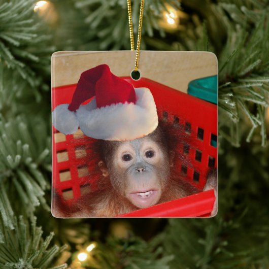 Cute Animal Kerstmis Keramisch Ornament (Boom)