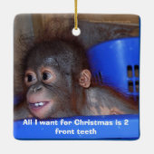 Cute Animal Kerstmis Keramisch Ornament (Achterkant)