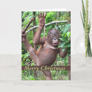 Cute Animal Merry Christmas Orangutan Baby Feestdagen Kaart