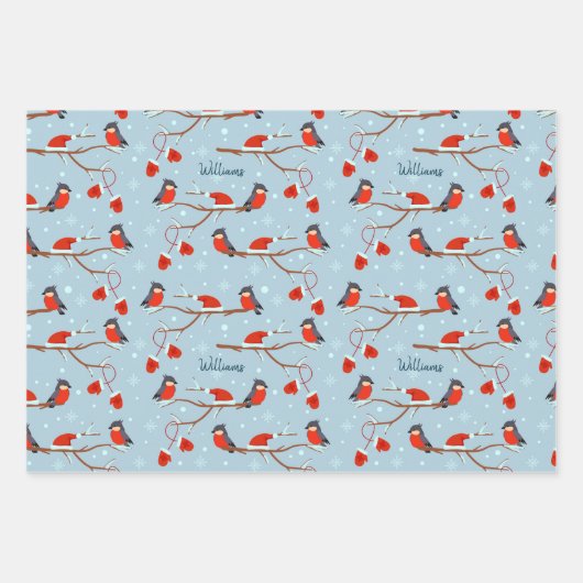 Cute Animal Pattern met de naam Blue Kerstmis Inpakpapier Vel (Voorkant 2)
