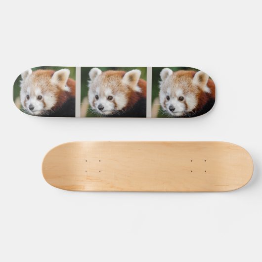 Cute Animal Red Panda Persoonlijk Skateboard (Horizontaal)
