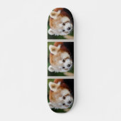 Cute Animal Red Panda Persoonlijk Skateboard (Voorkant)