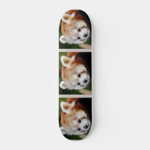 Cute Animal Red Panda Persoonlijk Skateboard