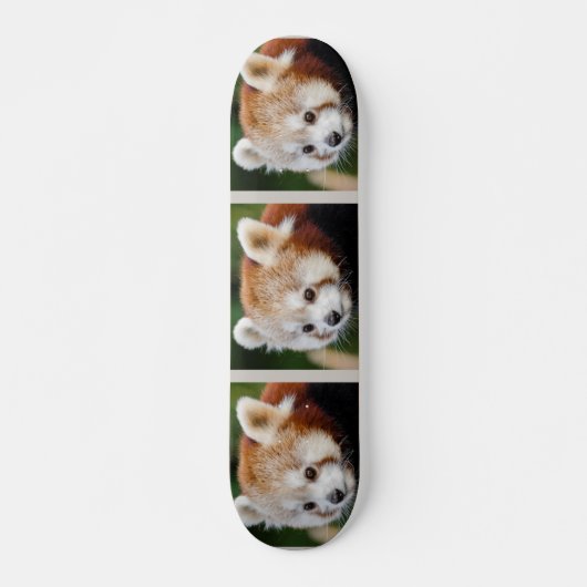 Cute Animal Red Panda Persoonlijk Skateboard (Voorkant)