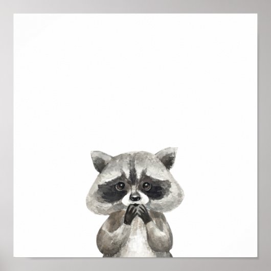 Cute Animal Sweet Racoon Animals Poster (Voorkant)