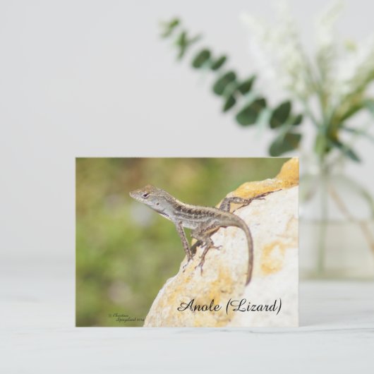 Cute Anole Lizard Briefkaart (Staand voorkant)