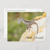 Cute Anole Lizard Briefkaart (Voorkant / Achterkant)