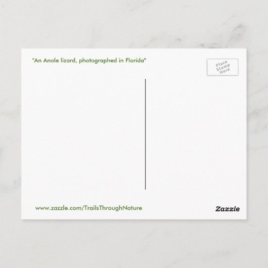 Cute Anole Lizard Briefkaart (Achterkant)