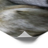 Cute Ape Family Group Hug Photograph Poster (Hoek)