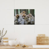 Cute Ape Family Group Hug Photograph Poster (Keuken)