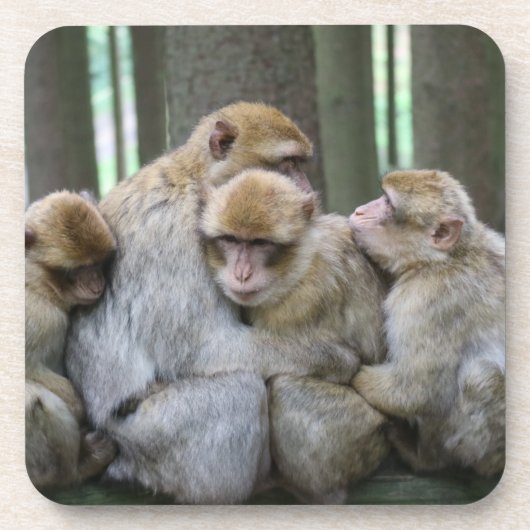 Cute Ape Family Group Hug Photography Bier Onderzetter (Voorkant)