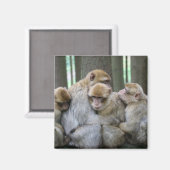 Cute Ape Family Group Hug Photography Magneet (Voorkant / Achterkant)
