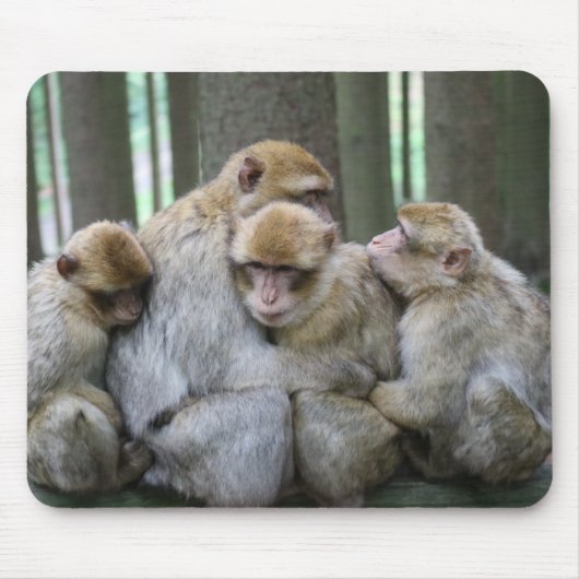 Cute Ape Family Group Hug Photography Muismat (Voorkant)